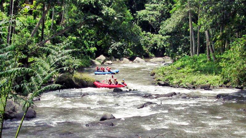 Rafting Bali Ayung River dan Kriteria Riak Sungai untuk Kegiatan Tersebut