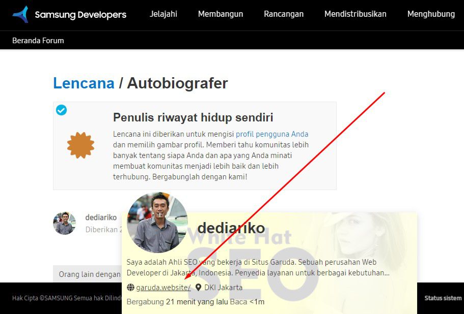 Daftar Backlink Profile